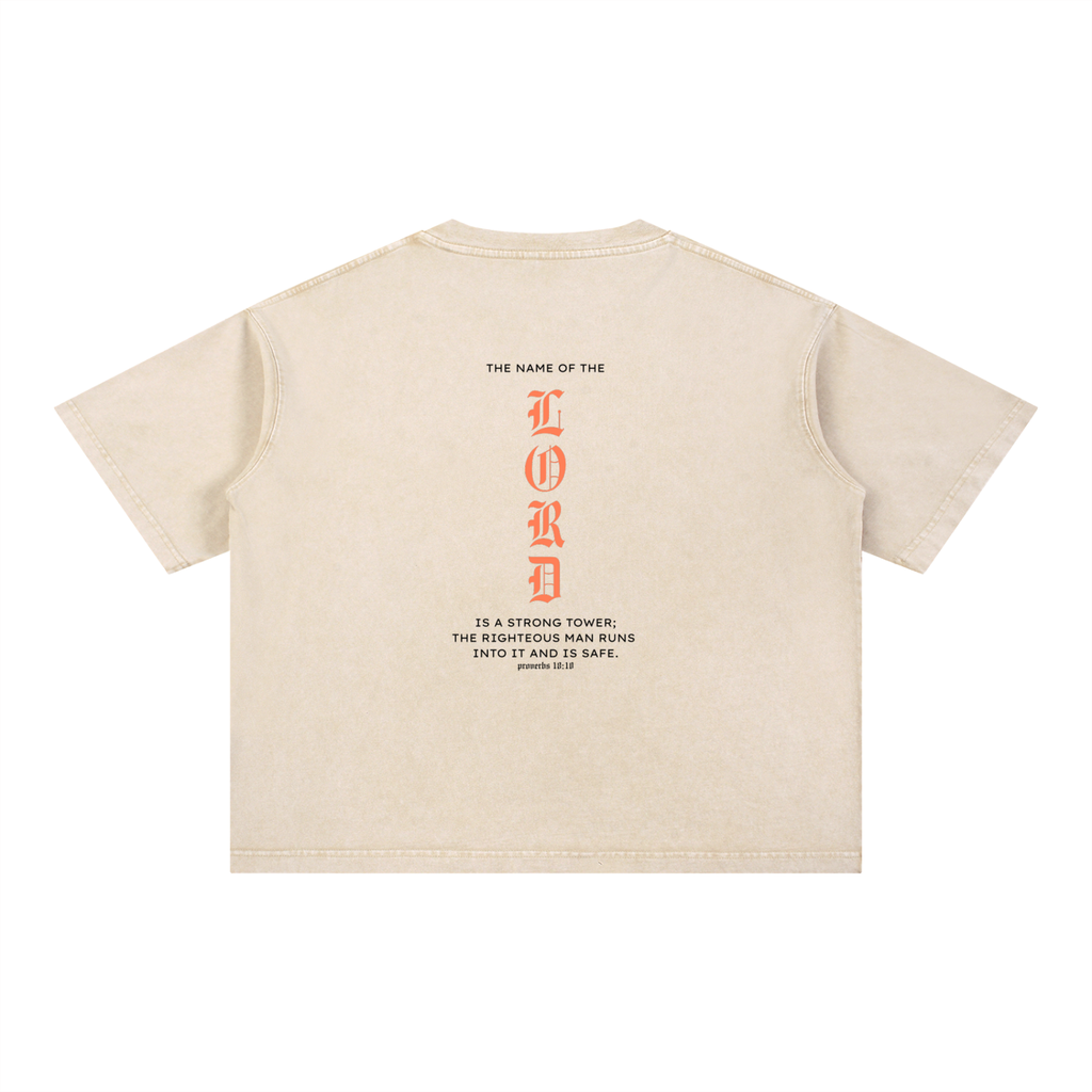 PRAISE THE LORD | Mineral Washed T-Shirt