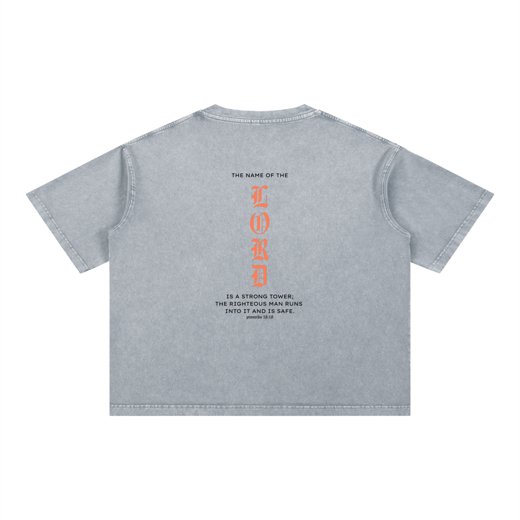 PRAISE THE LORD | Mineral Washed T-Shirt